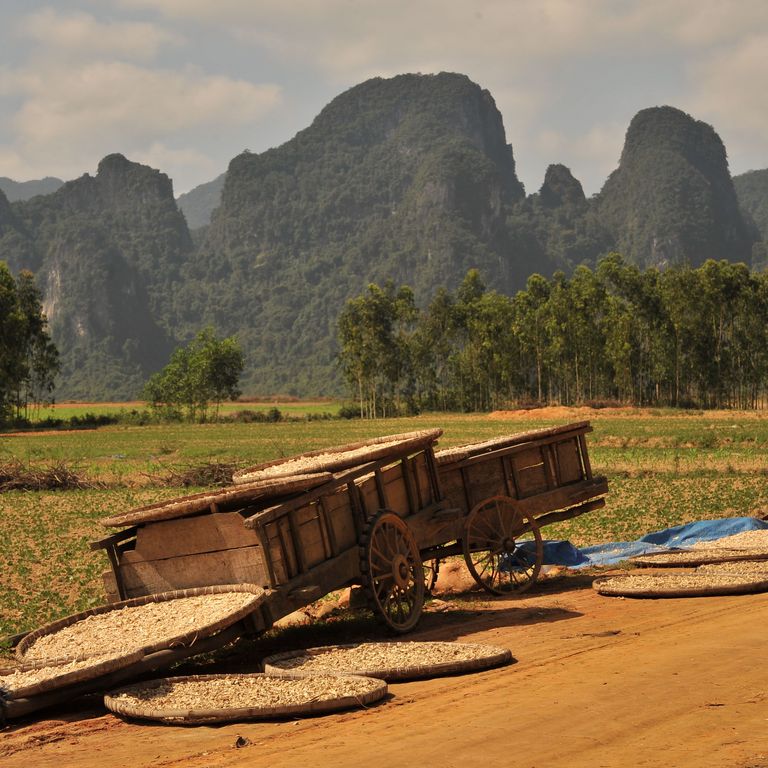 Karst Landscape in Phong Nha-Ke Bang National Park, Vietnam. (c) Willi Gebhardt Drying harvest in front of Karst Landscape in Phong Nha-Ke Bang National Park, Vietnam