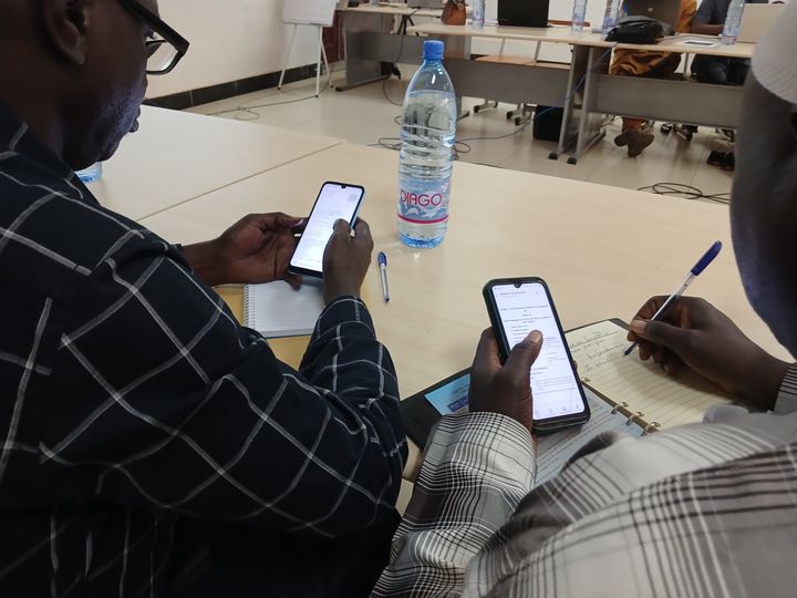 Participants working with their smartphones during a deigitalisation training.
